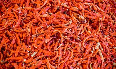Hokh Syun (sun-dried)