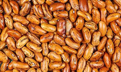 Pulses